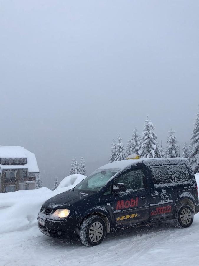 Vila Planinsko Blago Kopaonik Exteriör bild