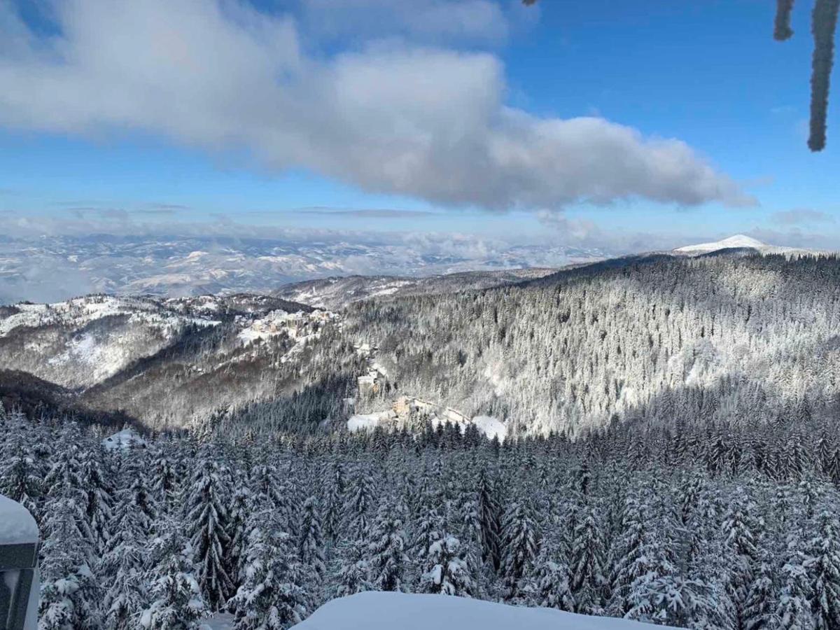 Vila Planinsko Blago Kopaonik Exteriör bild