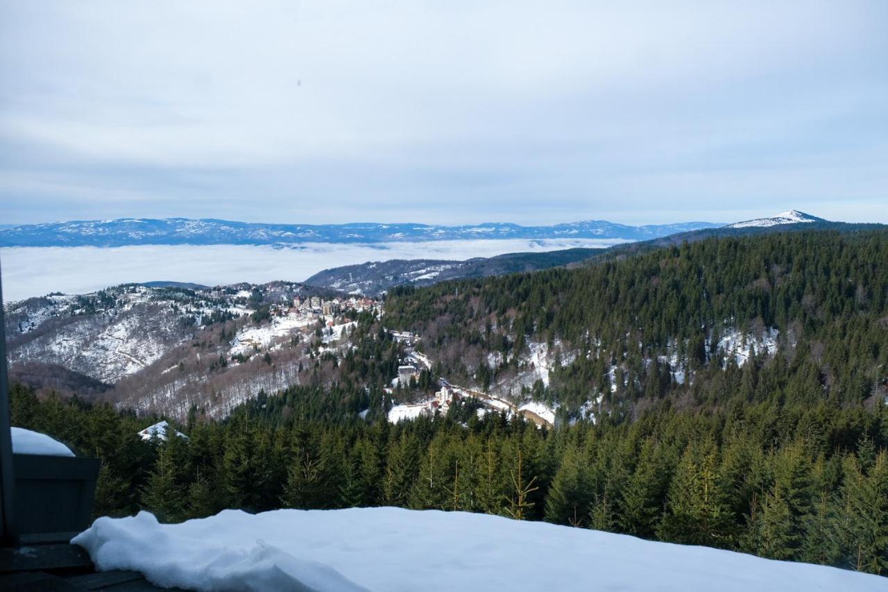 Vila Planinsko Blago Kopaonik Exteriör bild